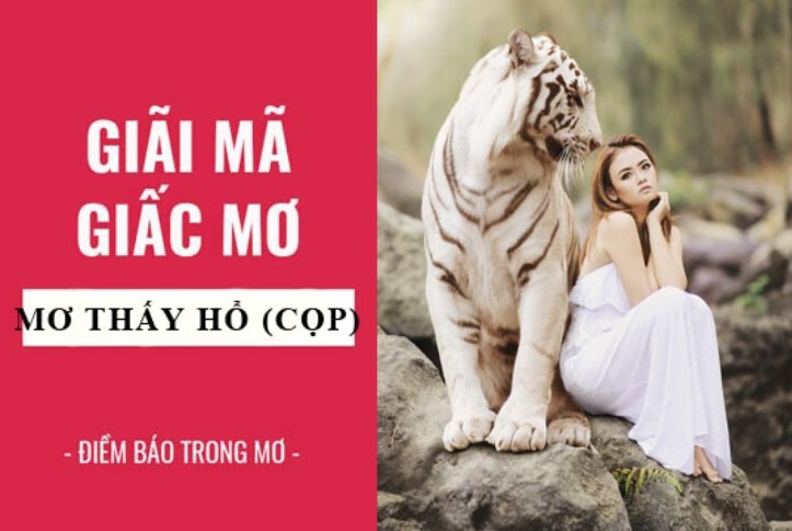 Nam Mo Thay Ho 1