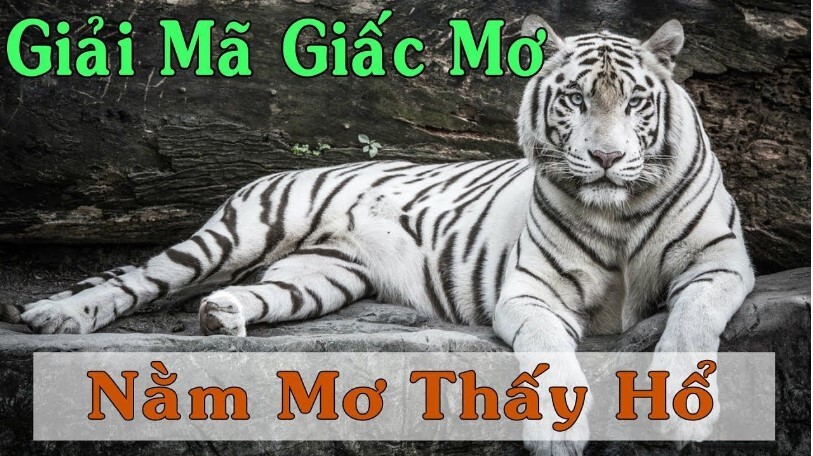 Nam Mo Thay Ho 2