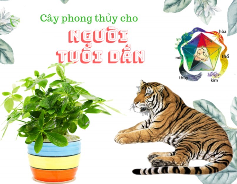 Phong Thuy Tuoi Giap Dan Nu Mang 3