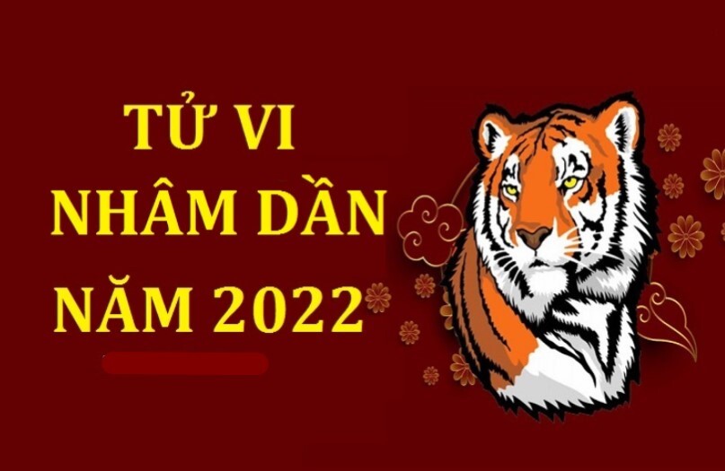 Tu Vi Tuoi Nham Dan 2022 Nam Mang 1