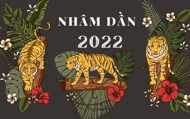 Tu Vi Tuoi Nham Dan 2022 Nam Mang 2