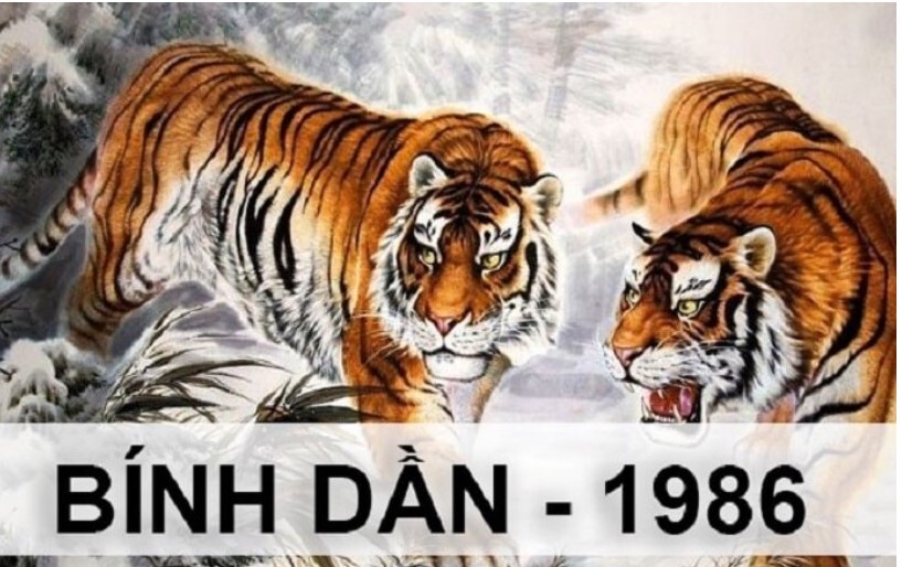 Tu Vo Tuoi Dan 1986 Nam 2021 3