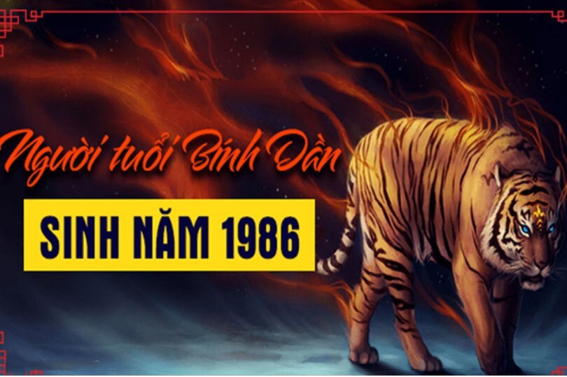 Tu Vo Tuoi Dan 1986 Nam 2021 4
